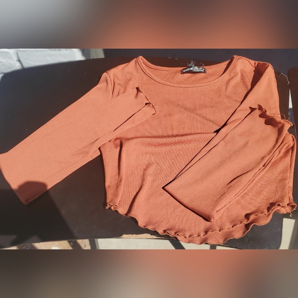 Long Sleeve Shirt Crop Top